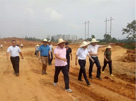 來賓市主要領導到紅河小鎮(zhèn)項目工地視察指導工作