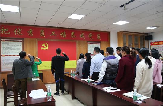 集團黨支部成功召開接收預(yù)備黨員及預(yù)備黨員轉(zhuǎn)正大會