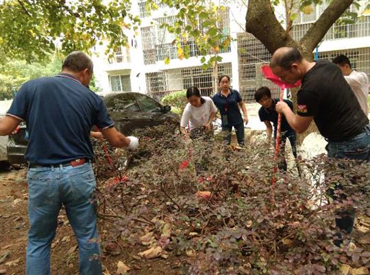 勞動(dòng)者最美麗——物業(yè)公司開(kāi)展五一義務(wù)勞動(dòng)